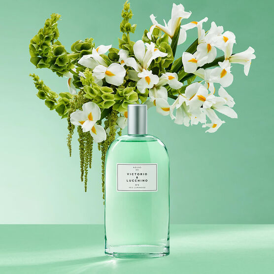 Perfume Victorio & Lucchino N&ordm; 3 Iris Luminoso Feminino Eau de Toilette